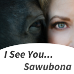 Sawubona Ranch Blog Articles